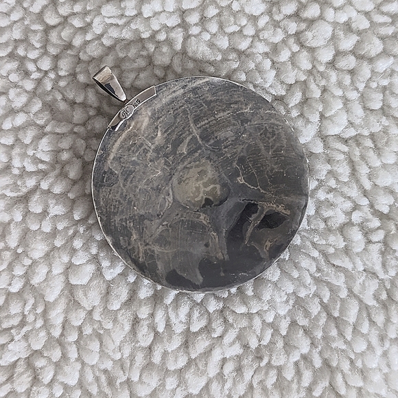 A Shell Pendant! - Picture 5 of 7